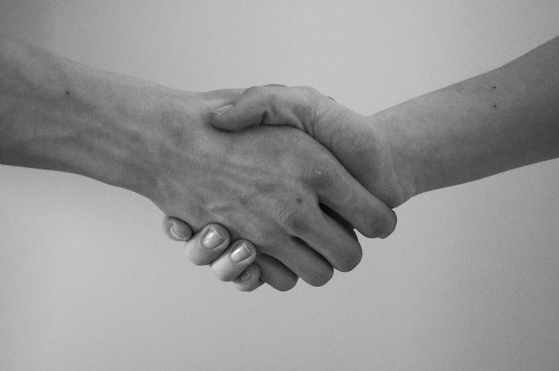 Networking with professionals